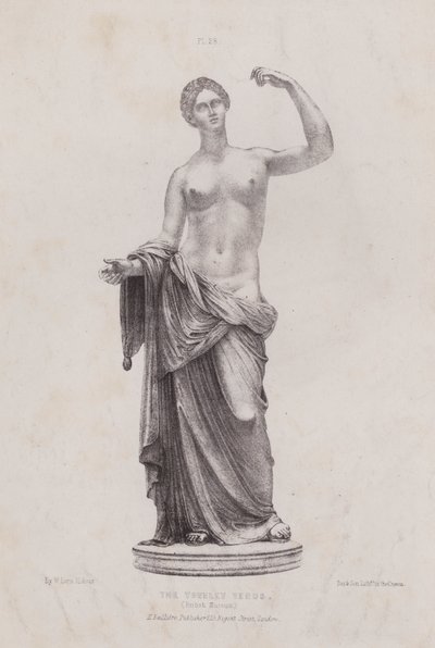 Illustration für Die Anatomie der äußeren Formen des Menschen: Die Townley Venus, British Museum von European School