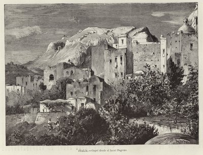 Italien - Capri vom Hotel Pagano von European School