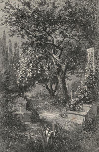 Garten von Alcinous von European School