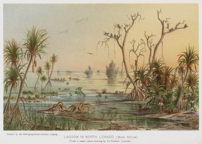 Lagune in Nord-Loango, Westafrika von European School