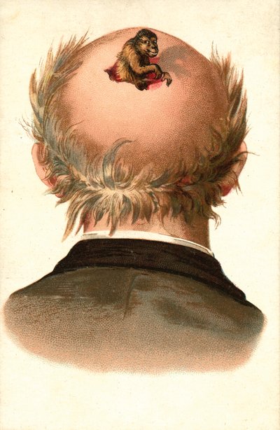 Männlicher Kopf - mit Affe, der herausklettert von European School