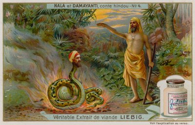 Nala rettet die Schlange Naga Karkotaka von European School