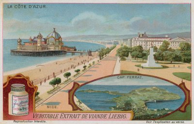Nizza und Cap Ferrat von European School