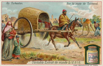 Auf dem Weg nach Taschkent in Usbekistan von European School