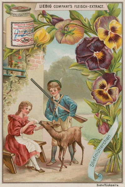 Stiefmütterchen von European School