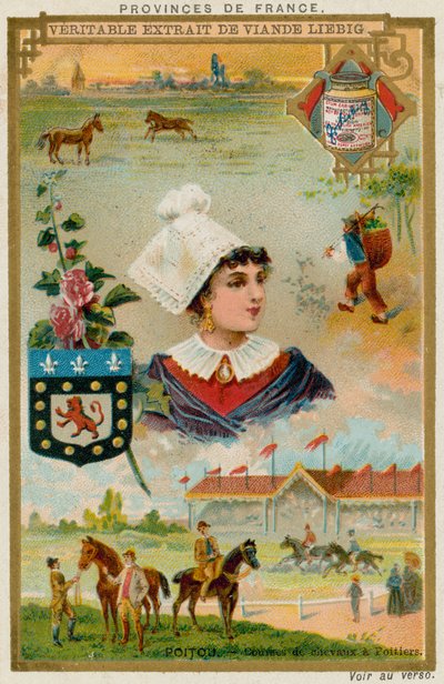 Poitou von European School