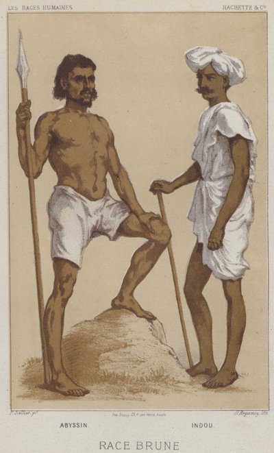 Braune Rasse, Abessinier, Inder von European School