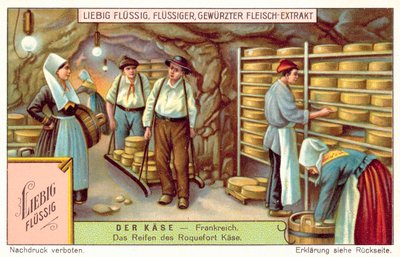 Roquefort-Käse reifen in Frankreich von European School