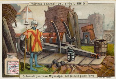 Belagerung von European School