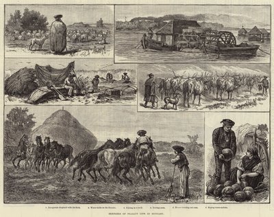 Skizzen aus dem Bauernleben in Ungarn (Stich) von European School