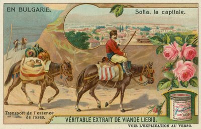 Sofia und ein Händler, der Rosenessenz transportiert von European School