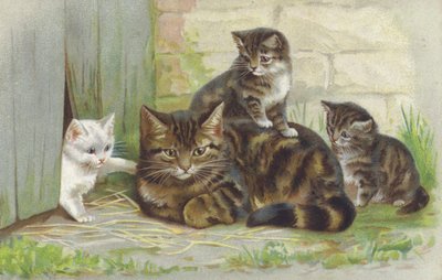 Getigerte Katze mit drei Kätzchen von European School