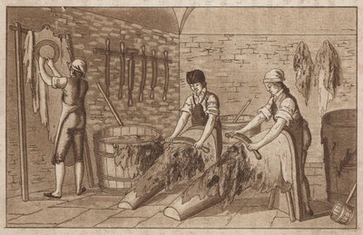 Gerberei (Lithografie) von European School