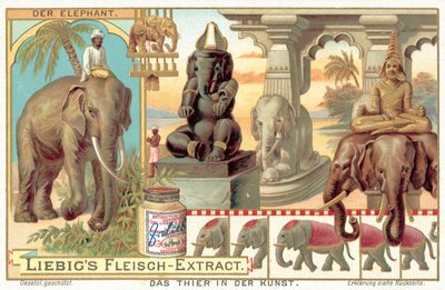 Der Elefant von European School