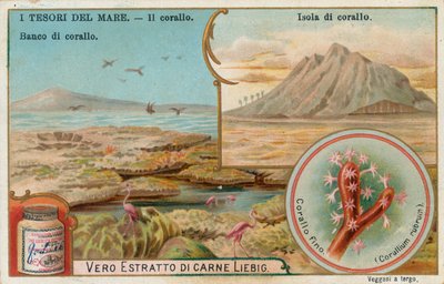 Schätze des Meeres, Liebig-Karte, frühes 20. Jahrhundert von European School