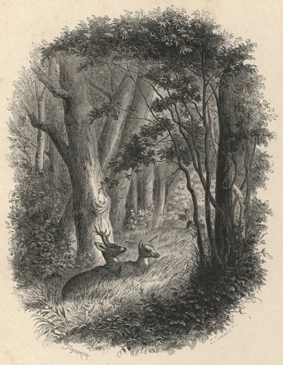 Eine Ecke des Waldes von Fontainebleau (Gravur) von European School