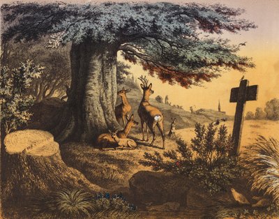 Unter der schattigen Buche sind das Eichhörnchen, Rehbock, Rehe und Kitz von European School