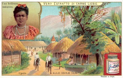 Dorf auf der Insel Upolu, Samoa von European School
