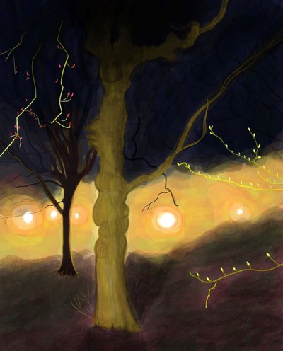 5:20 Uhr morgens, Prospect Park, Brooklyn von Evan Sklar