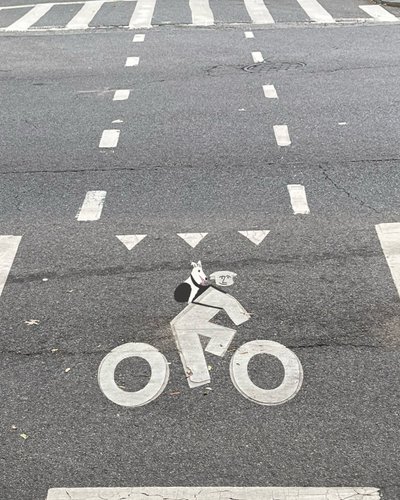 Fahrradweg-Beschilderung auf der Straße von Evan Sklar