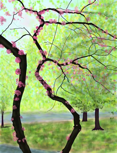 Blühender Baum, Brooklyn von Evan Sklar
