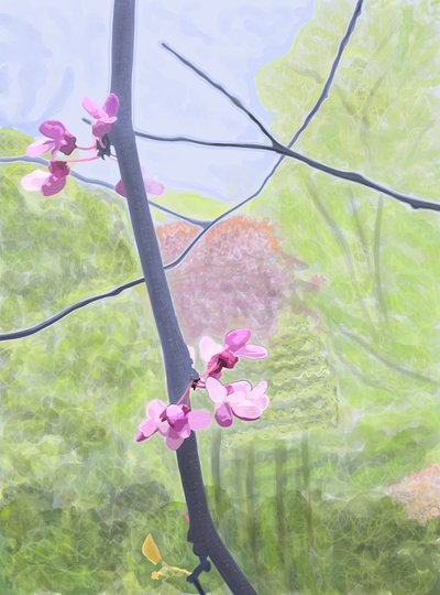 Zweig und Blüte von Evan Sklar