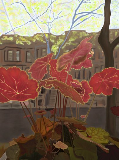 Coral Bells im Fensterkasten von Evan Sklar