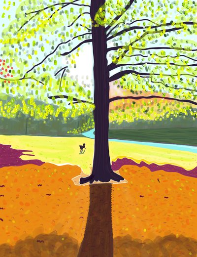 Hund, Früher Morgen, Herbst, Prospekt Park von Evan Sklar