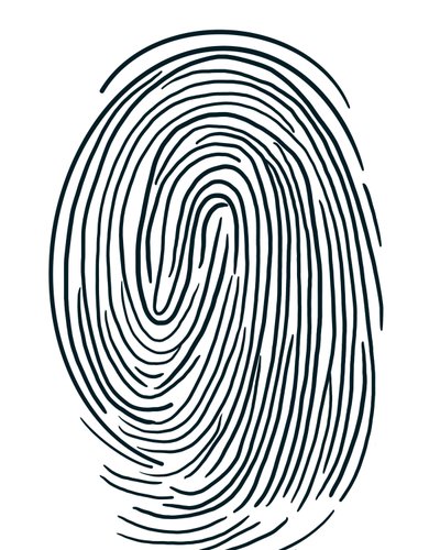 Zeichnung eines Fingerabdrucks Brooklyn von Evan Sklar