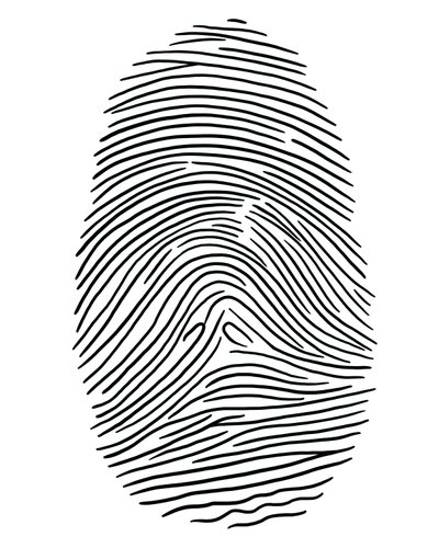 Zeichnung eines Fingerabdrucks Brooklyn von Evan Sklar