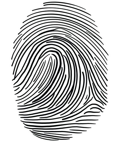Zeichnung eines Fingerabdrucks Brooklyn von Evan Sklar