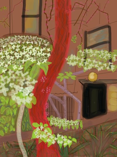 Blühende Hartriegelbäume, 2015 von Evan Sklar