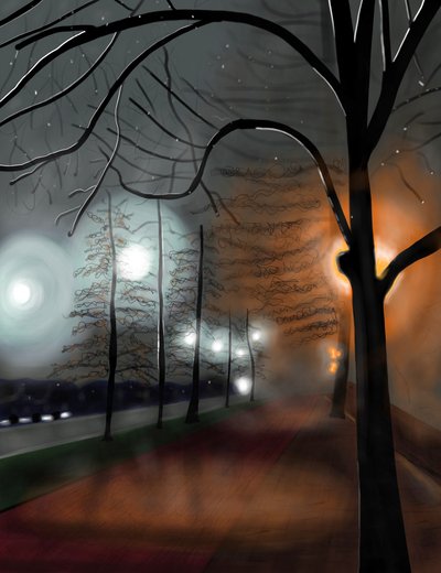 Nebel bei Nacht, Prospect Park, Brooklyn von Evan Sklar