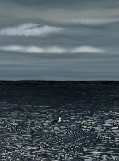 Möwe auf Wasser und stürmischer Himmel von Evan Sklar