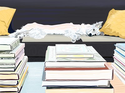 Minnie auf Couch mit Büchern von Evan Sklar