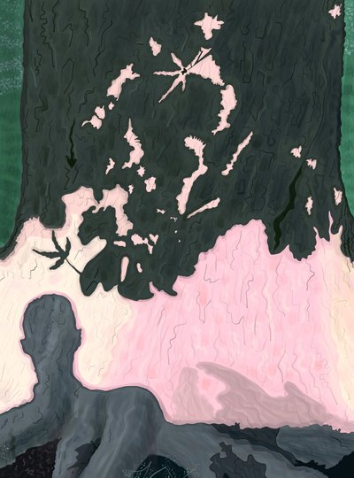 Mein Schatten auf Baum, Brooklyn von Evan Sklar