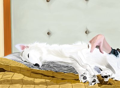 Penny auf gelbem Komforter, Brooklyn von Evan Sklar