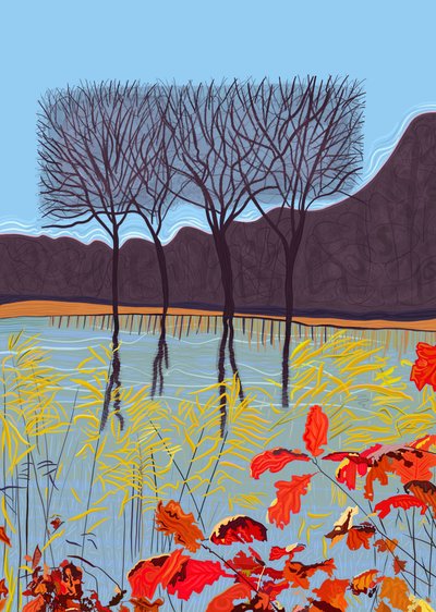 Teich und Bäume im Herbst von Evan Sklar