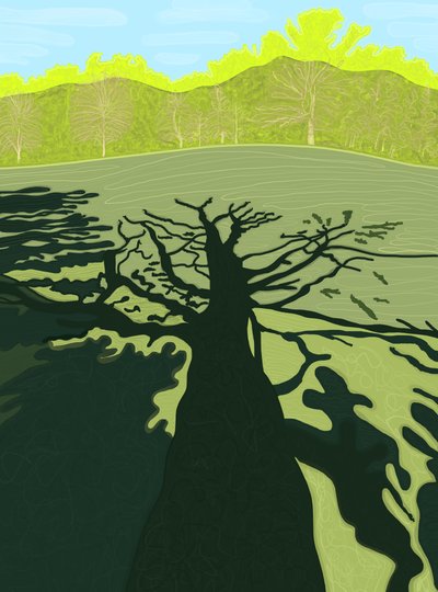 Schatten eines Baumes auf dem Feld, Brooklyn von Evan Sklar