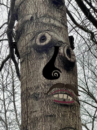 Baumgesicht von Evan Sklar