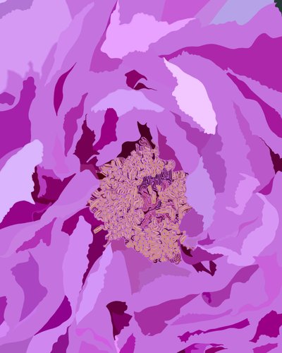 Baumpfingstrose von Evan Sklar