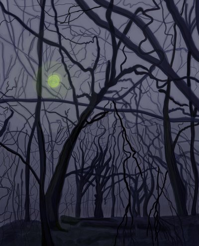 Bäume von Evan Sklar