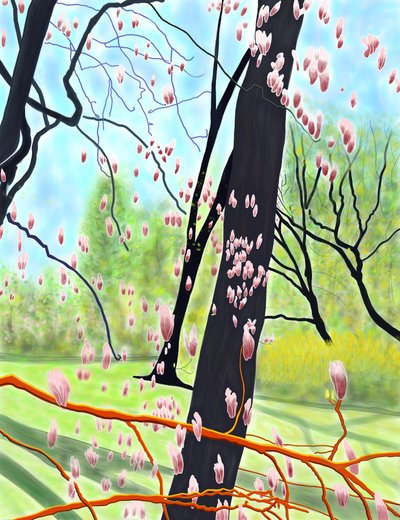 Tulpenbaum von Evan Sklar