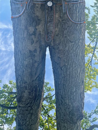 Umgedrehter Baum als Blue Jeans von Evan Sklar