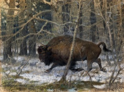 "Der Wald-Bison" Pastellmalerei von Evgeny Alexandrovich Tichmenev (Tikhmenev) (1869-1934) 1910 Privatbesitz von Evgeny Alexandrovich Tikhmenev