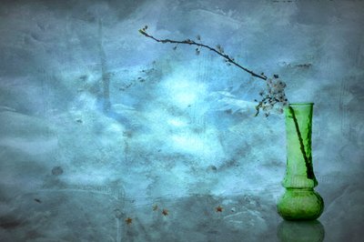 Ruhige blaue Blüten von Eyal Amer