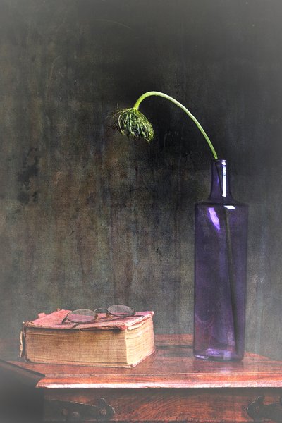  von Eyal Amer