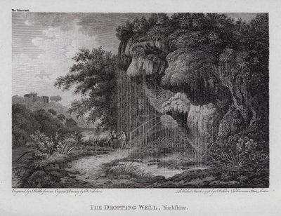Der Tropfende Brunnen, Yorkshire von F. (after) Nicholson