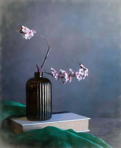 Zarte Frühlingsblüten von Fangping Zhou