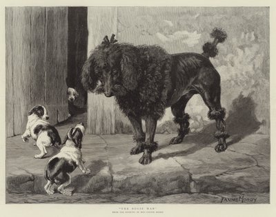 Der Bogie-Mann von Fannie Moody
